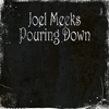 Joel Meeks